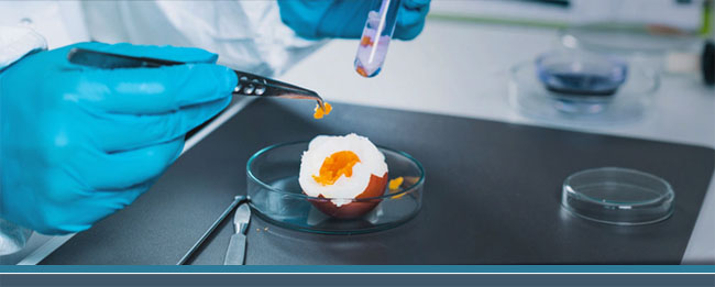 Im Labor entnimmt ein Mitarbeiter mit einer Pinzette eine Probe aus einem Ei